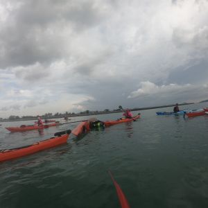 hhsg6816