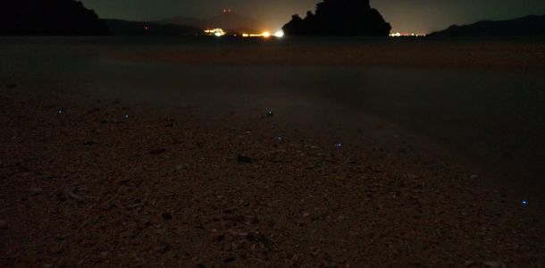 p1030118